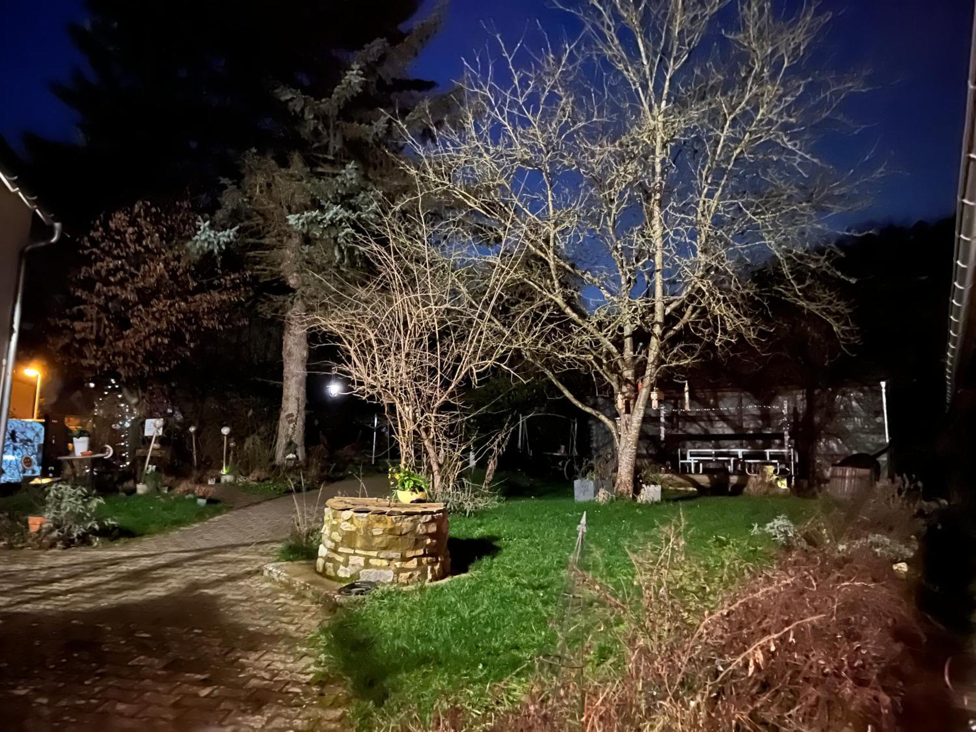 Ferieninrosengarten 1 Zi Appartement 190 Cm Deckenhoehe Oder Grosse 4 Zi Dg Whg Exterior foto
