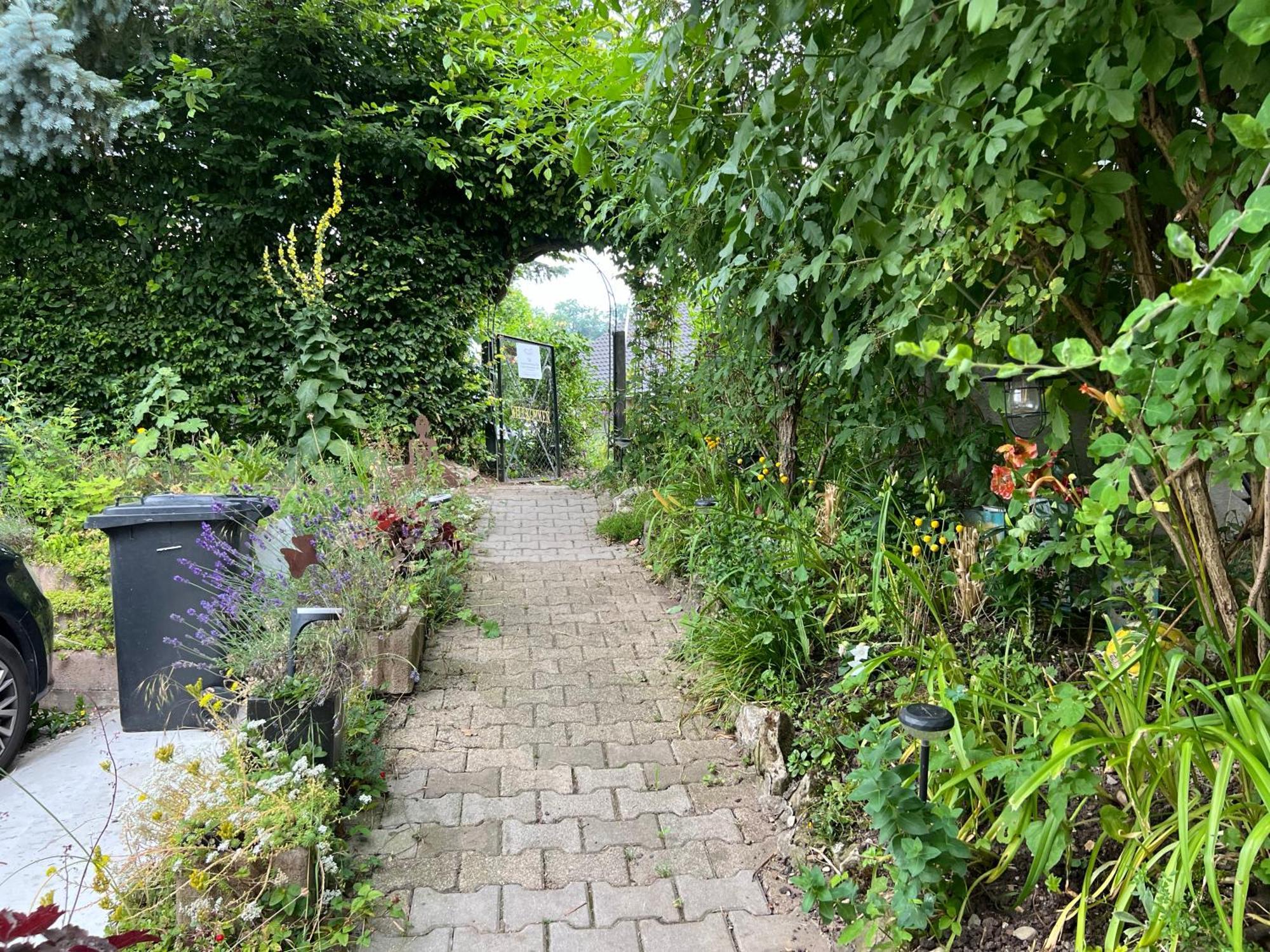 Ferieninrosengarten 1 Zi Appartement 190 Cm Deckenhoehe Oder Grosse 4 Zi Dg Whg Exterior foto